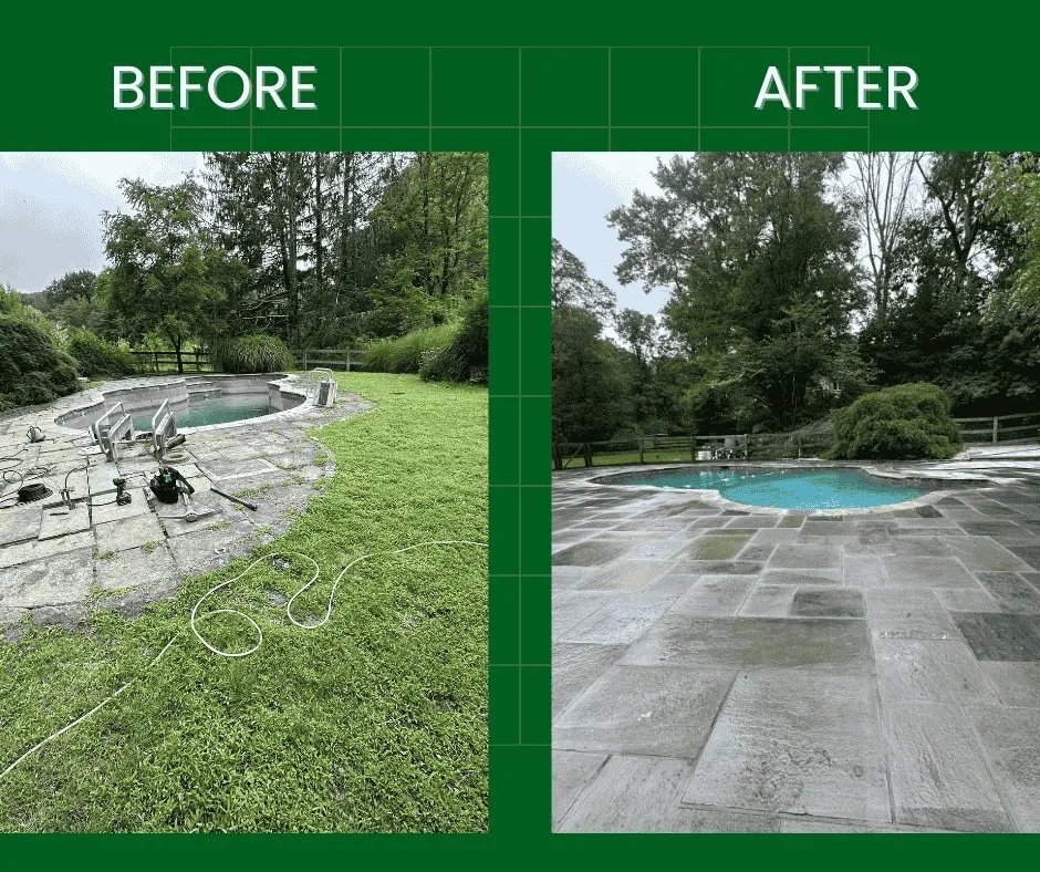 Before and after of an overgrown bluestone pool patio lifted, re-set and cleaned by Baudi Landscaping