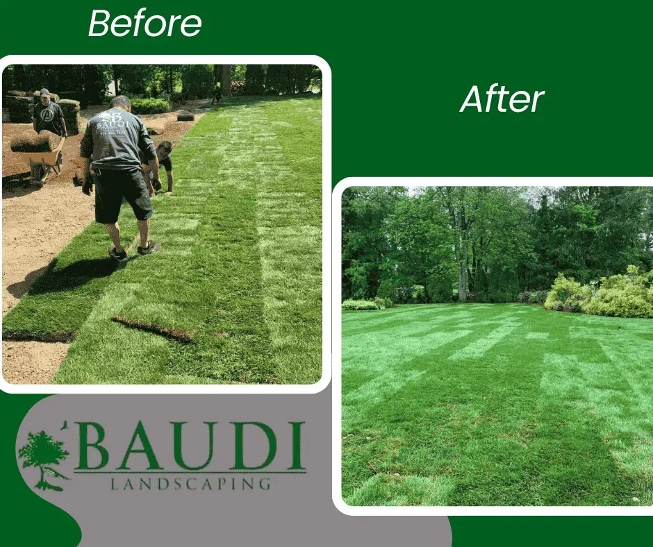 Before and after of a lawn renovated with new sod by Baudi Landscaping