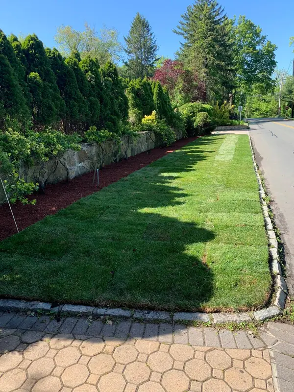 New sod strip and fresh mulch bed along an old fieldstone wall