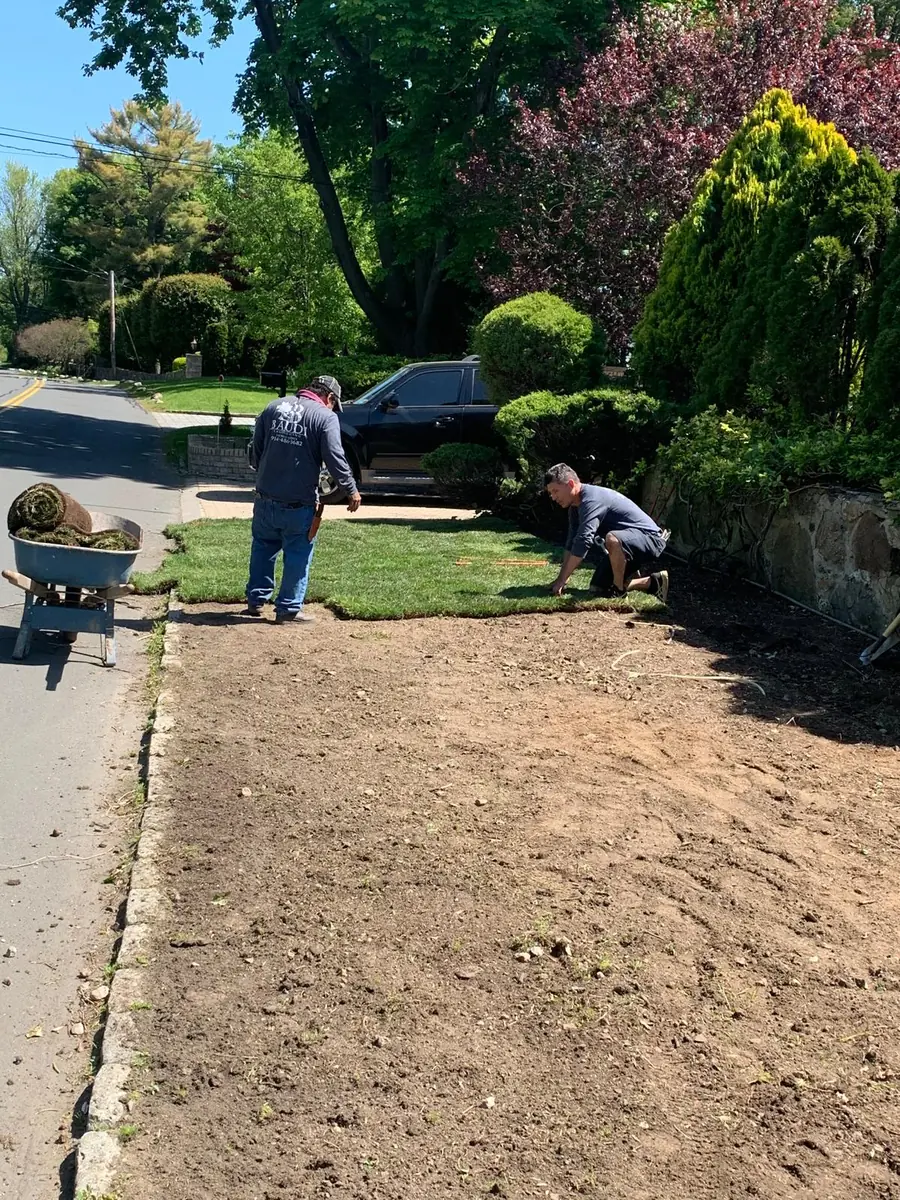 Baudi crew members laying rolls of sod between planted beds and a fieldstone wall at a Westchester home