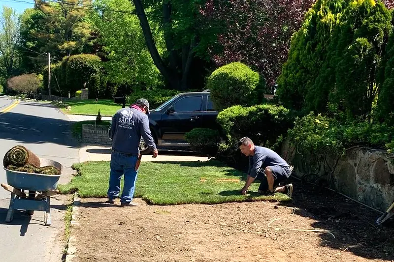 Baudi Landscaping crew unrolling new sod along a residential street in Westchester County, NY
