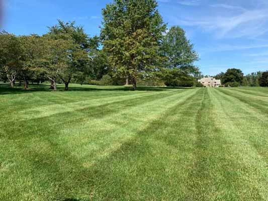 sod install services